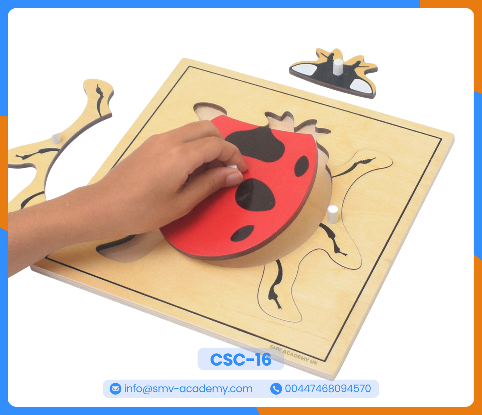 بازل أجزاء الدعسوقة - Parts of a Ladybug Puzzle